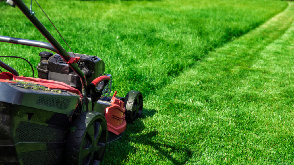 Best time store mow lawn